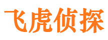 白碱滩市私家侦探